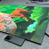 Rollable LED Curtain Display Screen